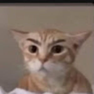 Meet your Posher, Chloe